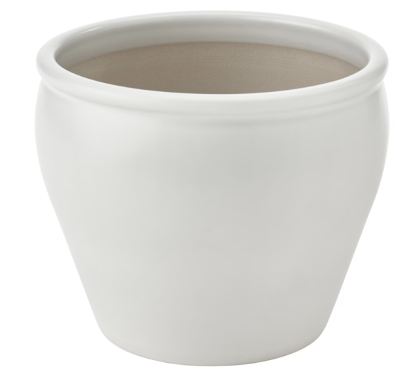 Elegant White Ceramic Pot for Mini Plants