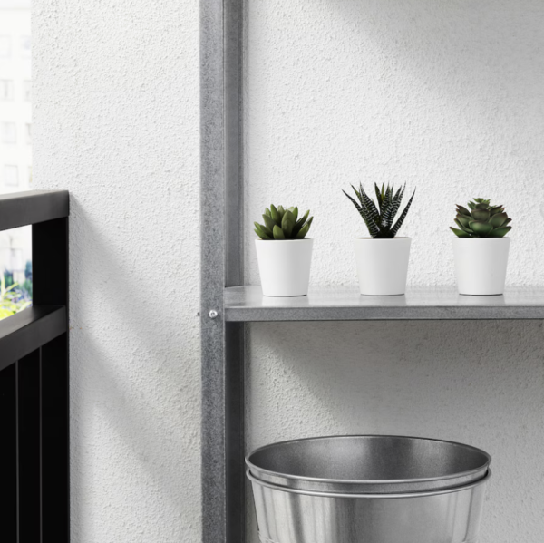 FEJKA Artificial Potted Plant + Pot – Indoor/Outdoor Use, Succulent - Image 4