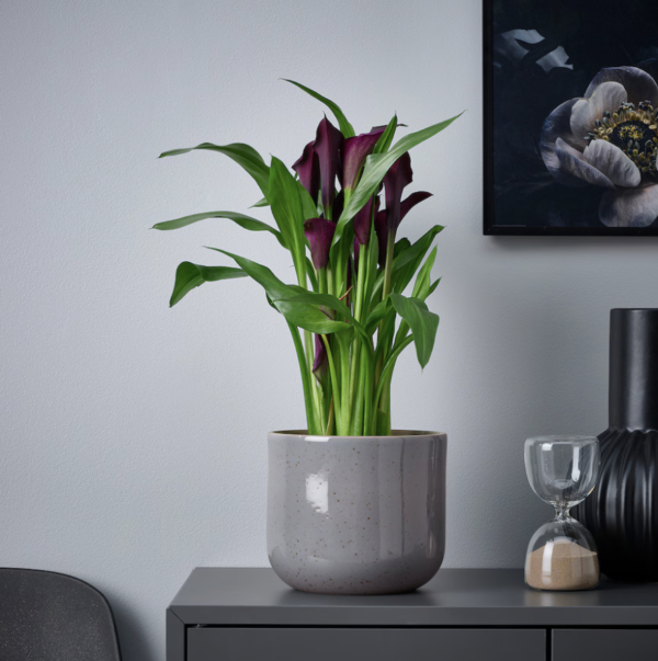 Minimalist Speckled Ceramic Planter – Grey Matte Finish - Image 2