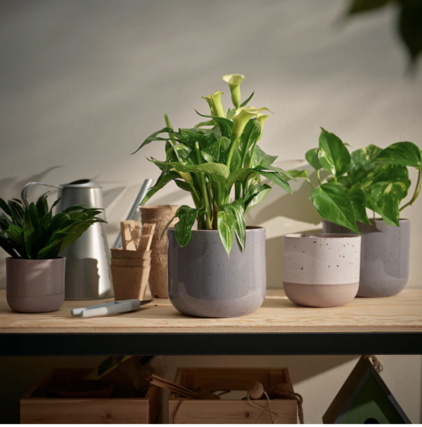 Minimalist Speckled Ceramic Planter – Grey Matte Finish - Image 3